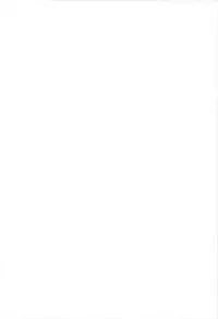 (C77) [Moehina Kagaku (Hinamatsuri Touko)] Metorare Little 3 (Touhou Project)