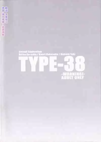 TYPE-38