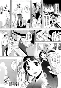 COMIC Shitsurakuten 2014-08