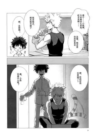 [milmil] Shèngchū bào māo bǐjìběn (Boku no Hero Academia)