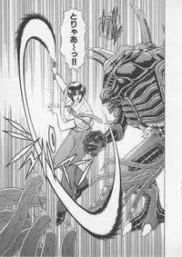 [Gun Ryuusei] Wakakusa Bishoujotai vol.4