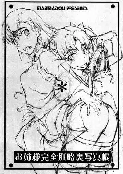 Oneesama Kanzen Kouryaku Photo Album