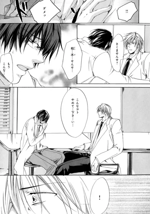 b-BOY Phoenix Vol.11 Shiroisha Tokushuu