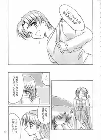 (C61) [Knights (Kishi Nisen)] Final Journey (Sentimental Graffiti)