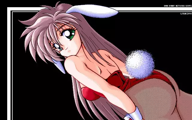 Sailor Bunny Gashuu Sono Ichi