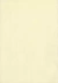 [Okina Flying Factory (OKINA)] Orihime