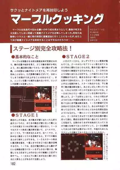 PC Bishoujo Software Strategy Book: Strategy King 2