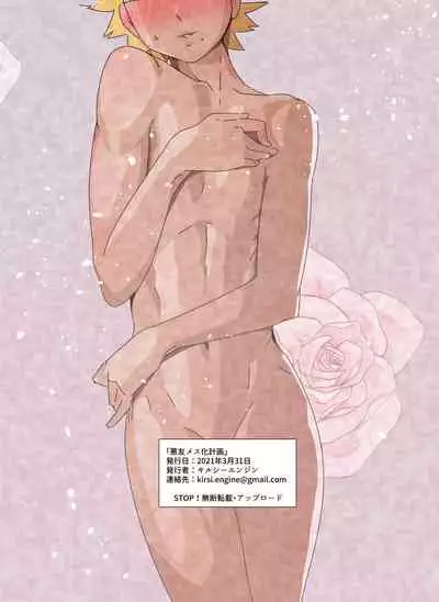 Akuyuu Mesu-ka Keikaku