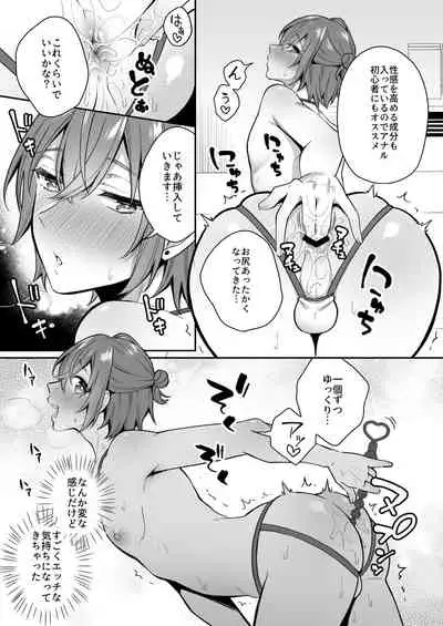 Otona no Omocha Ikaga desu ka?