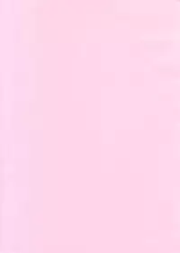 [Mugendai] THE Tora (Fate/Stay Night)