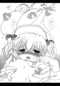 (Reitaisai 9) [Setoran (Itoupeko,Tannopoko)] Touhou Chanpon Ippaime (Touhou Project)