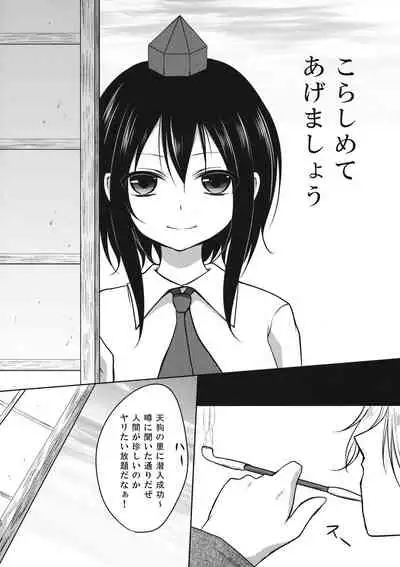 (例大祭11) (同人誌) [楓式] ふしまつ (東方) (エロ)