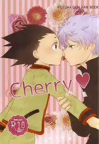 (SUPER24) [SHIROZONE (Mizushiro Yuduki)] Cherry (Hunter x Hunter)