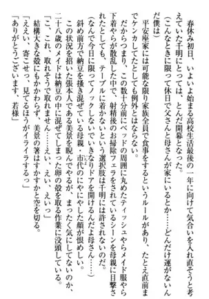 年上メイドの新婚日記
