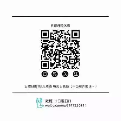 Katsuo x Kendo x Tsuba Seriai