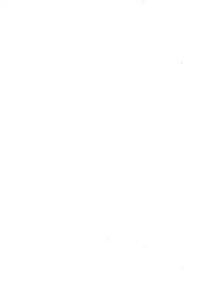 (C50) [WARHEADS (Kouwa, MDG.)] Codomore 6