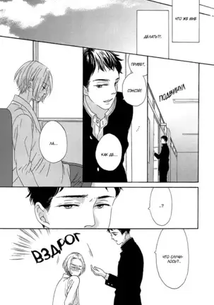 The Daydreamer Falls in Love