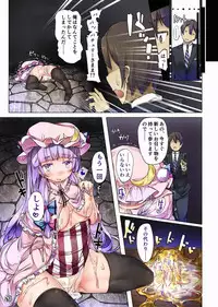 (Reitaisai 11) [Shirokurousa (Sugiyuu)] Honey x Honey (Touhou Project)