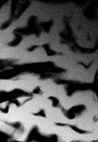 (C84) [Galley (ryoma)] Yumemonogatari (Bakemonogatari)