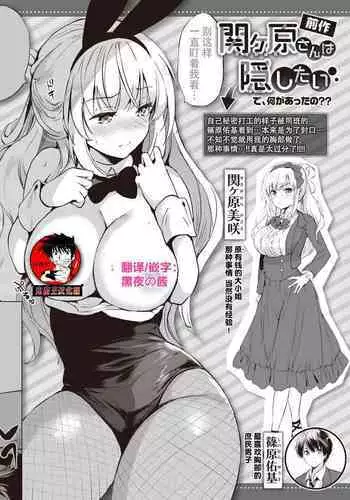 Sekigahara-san wa Tasshitai