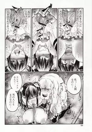 Kemono DIRECT 4 （MD komikkusu NEO）komikku - adaruto，20161027