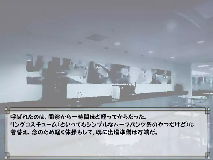 ドMプロレス2 画像集