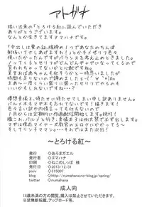 (C85) [Aroma Gaeru (Numahana)] Torokeru Kurenai (Dokidoki! Precure)