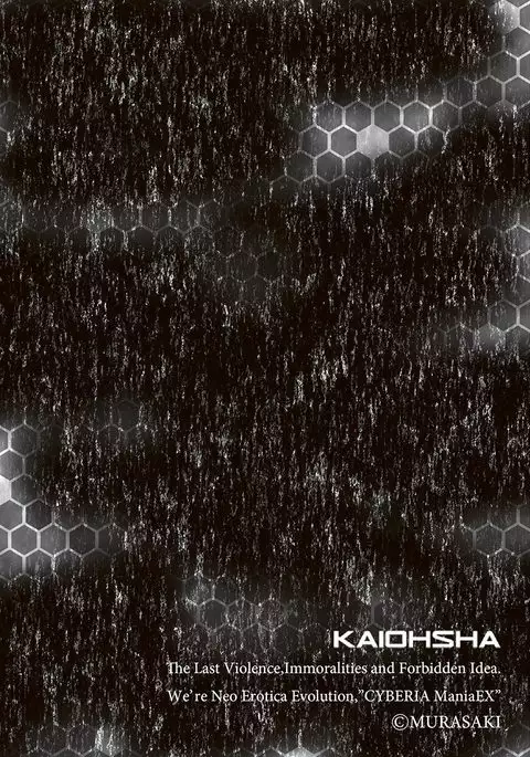 Cyberia Maniacs Chikan Ryoujoku Paradise Vol.2