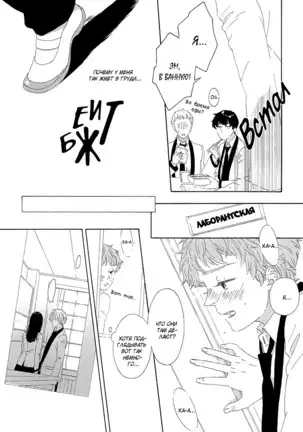 The Daydreamer Falls in Love