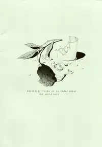 (C56) [CHEAP CHEAP (Harazaki Takuma)] HEAVENLY 7 (Cowboy Bebop)