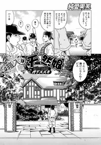 Jun-ai Kajitsu 2008-11