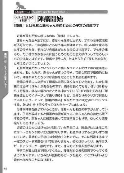 やらなくてもまんがで解る性交と妊娠 赤ちゃんのつくり方