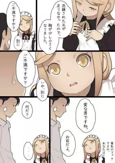 MAIDEN SINGULARITY Chapter 1