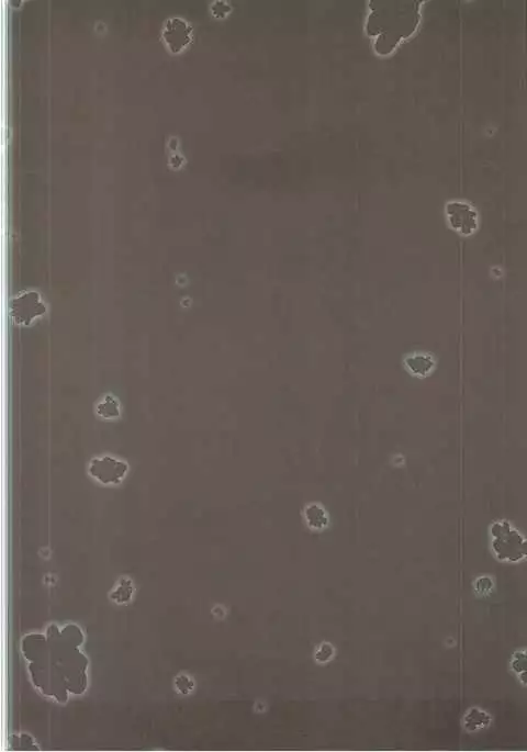 Kimi ga Tame Haruyoi Matoishi Sakura-hime