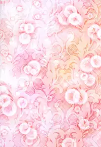 (C92) [Ai Wa Kurayami (Marui Ryuu)] Shining Knight Red (Magic Knight Rayearth)