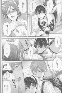 (HaruCC19) [Karaage of the Year (Karaage Muchio)] Aishite Warui Iruka-chan (Free!)