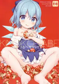 (C91) [Caramel Macchiato (Ma)] Kinokonabe Kimatteru? (Touhou Project)