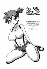 (SC64) [Haguruman (Koutarosu)] Hikari to Kasumi no Hon (Pokemon)