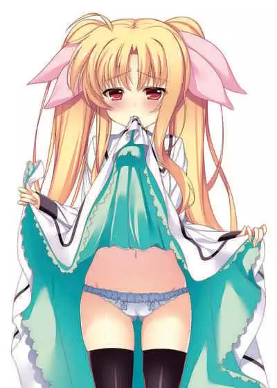 [tonitrus (raiou)] MAGICAL TAXI (Mahou Shoujo Lyrical Nanoha) [Digital]