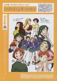 Super Real Mahjong Visual Fan Book Perfect Collection