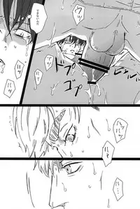 (SPARK10) [Shibakane-ya (Kyuu)] Falling dowN (Shingeki no Kyojin)