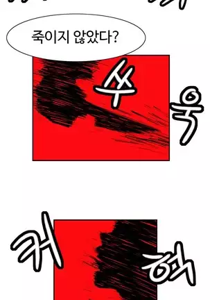 Chauffeur Service Ch.1-30.5