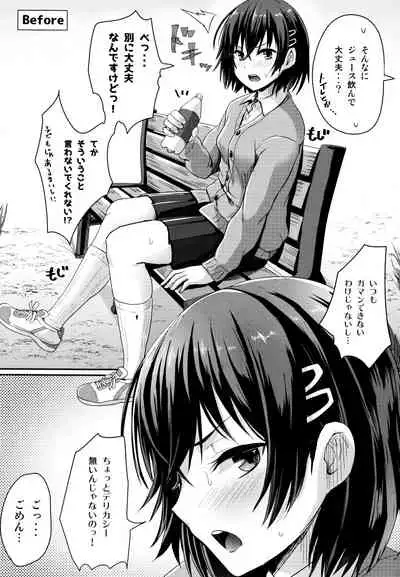 [Guglielmo] Shishunki Marudashi! Toranoana Gentei 8P Leaflet