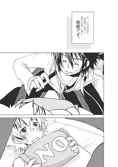 Ore no Doutei o Kimi ni Sasagu