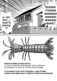 [RH Minus] Chitsu Hakai-kei Joshi [English] [Digital]