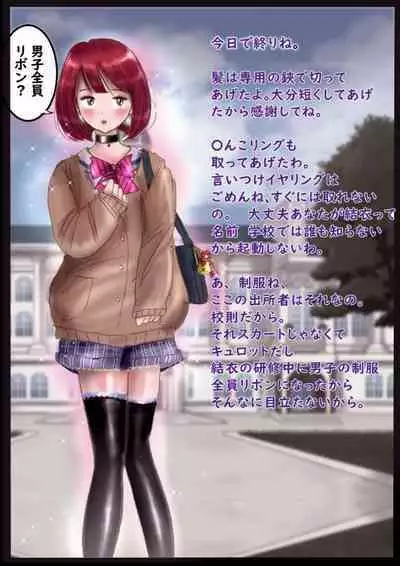 美百合学園・淫髪の章