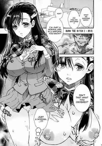 BURN THE BITCH II