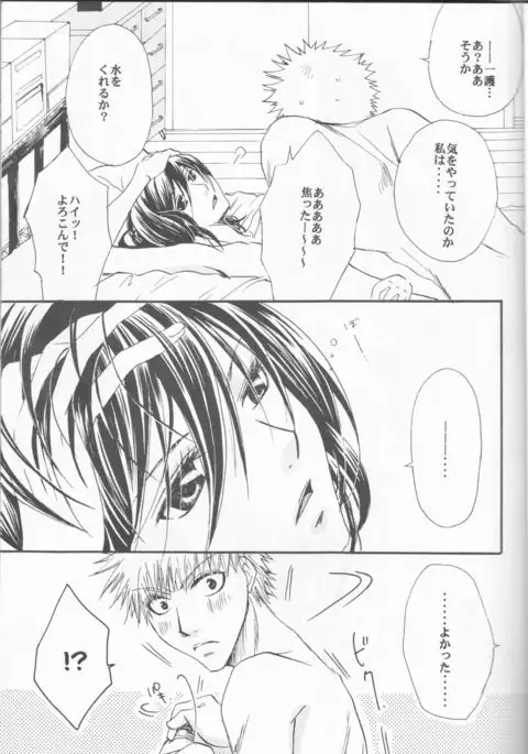 Sputnik Introduction