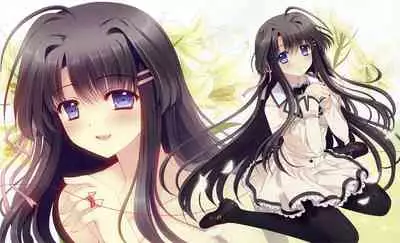 Tsuki ni Yorisou Otome no Sahou official visual fanbook