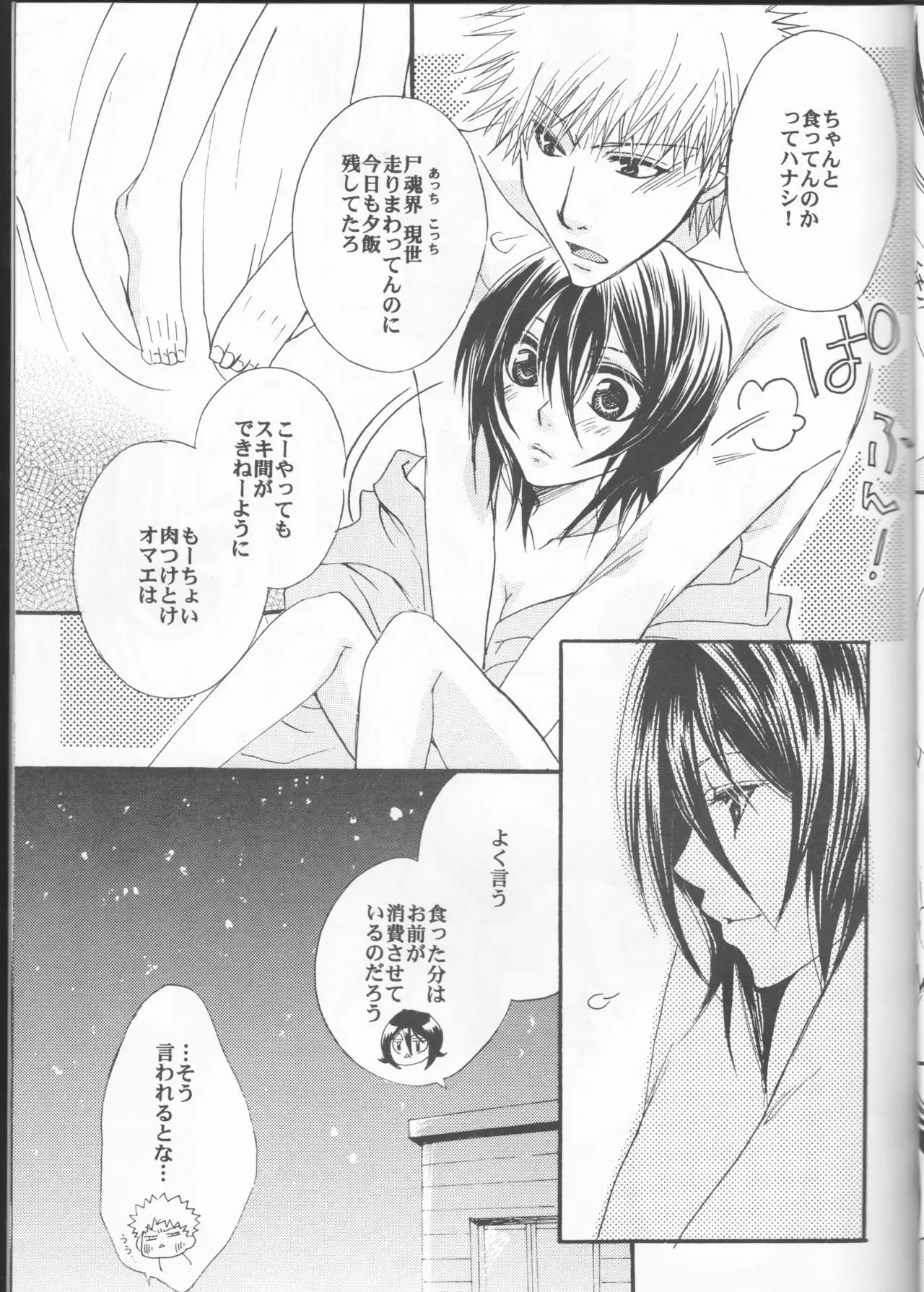 Sputnik Introduction